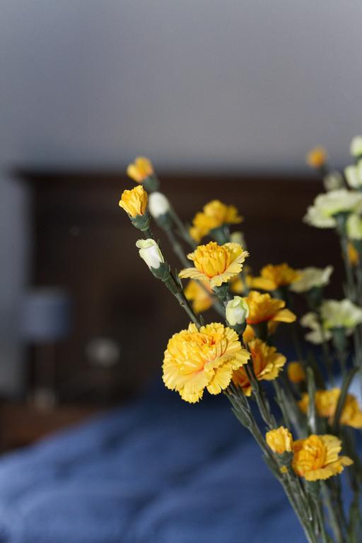 Agriturismo Rajata Βίλα Μπαγκερία Εξωτερικό φωτογραφία